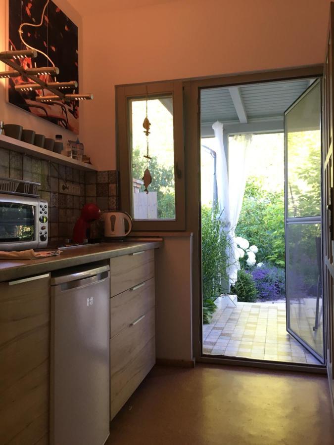 Szelrozsa Apartmanhaz فيلينس المظهر الخارجي الصورة